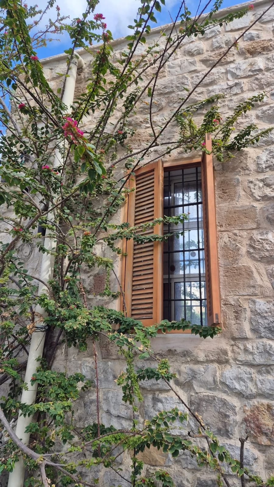 يافا | موسوعة القرى الفلسطينية يافا | موسوعة القرى الفلسطينية